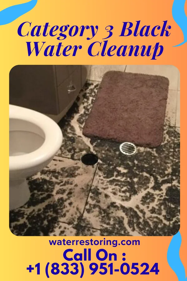 Category 3 Black Water Cleanup in Whiteman AFB, MO