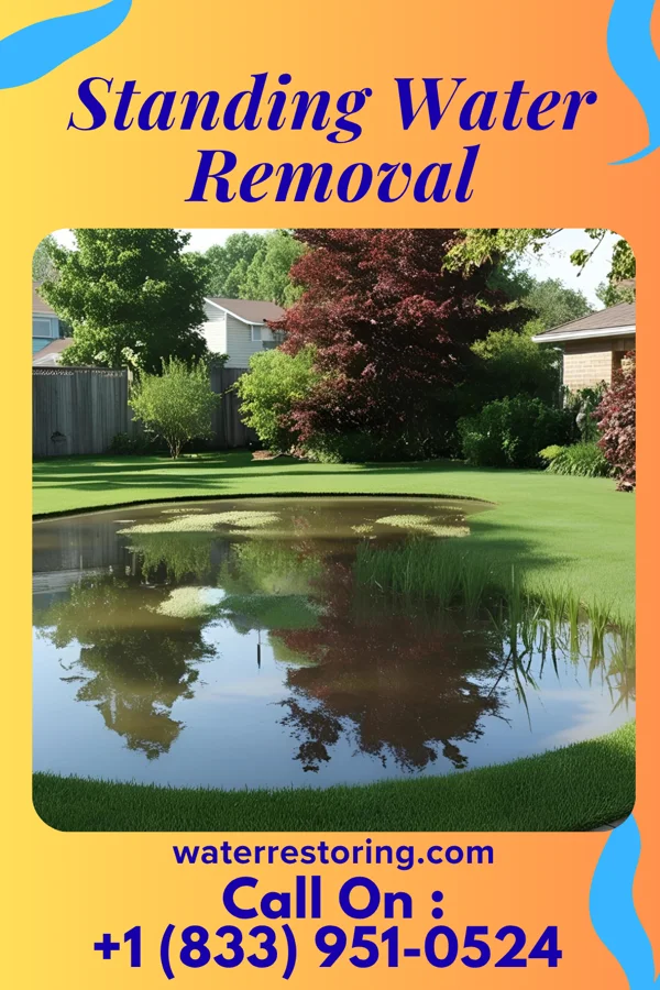 Standing Water Removal in Whiteman AFB, MO